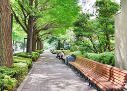 美术与设计学院