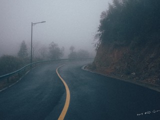 迷雾森林