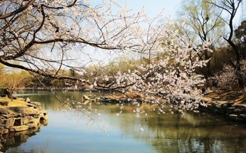 燕园三月桃花水