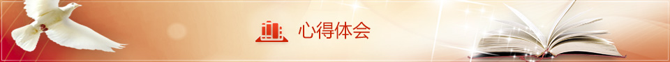 心得体会